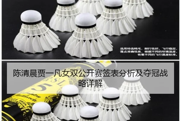 chen-qing-chen-jia-yi-fan-nv-shuang-gong-kai-sai-qian-biao-fen-xi-ji-duo-guan-zhan-lve-xiang-jie-2-239.jpg